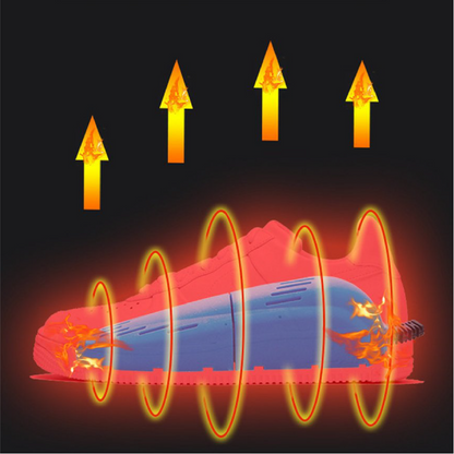 Máquina Secadora de zapatos
